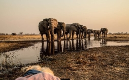 Naturwunder Okawango