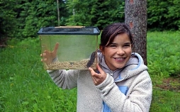 Anna und die wilden Tiere