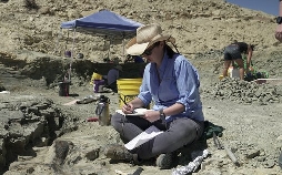 Geheimnisse der Jurassic-Saurier