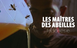 Die Bienenflüsterer