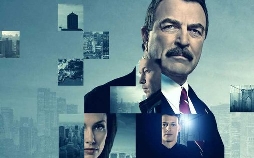 Blue Bloods - Crime Scene New York