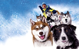 Snowdogs - Acht Helden auf vier Pfoten