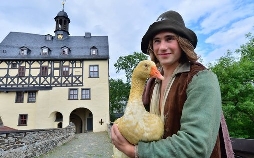 Die Goldene Gans
