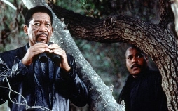 Denn zum Küssen sind sie da