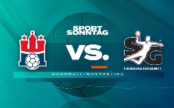 Handball-Bundesliga