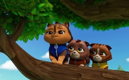 Paw Patrol