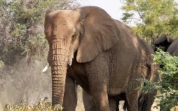 Länder - Menschen - Abenteuer