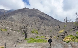 Im Land der Feuerberge