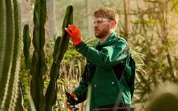 Die Heiland - Wir sind Anwalt