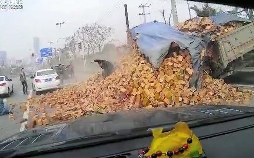 Dashcam - Die schlimmsten Autofahrer der Welt