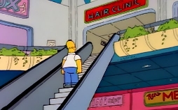 Die Simpsons