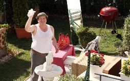 Natur Im Garten - Die Katze Auf Dem Heißen Dach