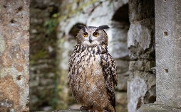 Märchenhaftes Tschechien