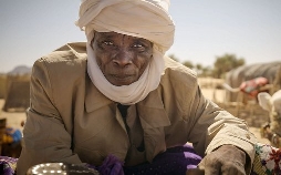 Oasen: Inseln des Lebens