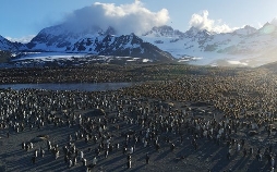 Natur - Die Geschichte unseres Planeten