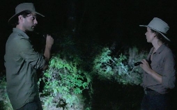 Expedition X - Dem Unheimlichen auf der Spur