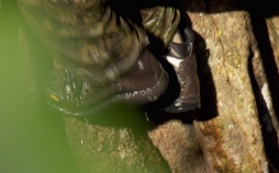 Das Survival-Duo: Zwei Männer, ein Ziel