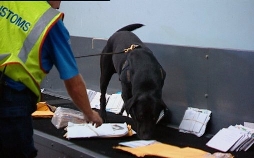 Achtung, Zoll! Willkommen in Australien