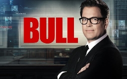 Bull