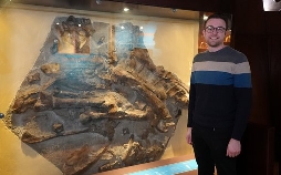 Dinosaurier: Reise in eine vergangene Welt