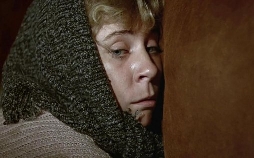 Michel muss mehr Männchen machen