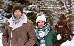 Wie ein Blitz vom Weihnachtshimmel