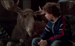 Mitten in der Winternacht