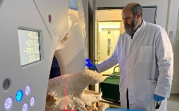 Rückkehr der Mammuts? Die Wiederbelebung ausgestorbener Arten