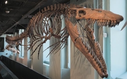 Rückkehr der Urzeit-Giganten