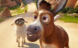 Bo und der Weihnachtsstern