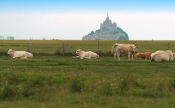 Länder - Menschen - Abenteuer