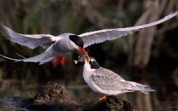 Magie der Jahreszeiten