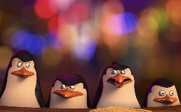 Die Pinguine aus Madagascar