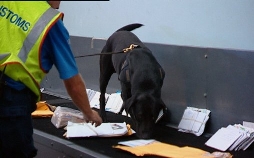 Achtung, Zoll! Willkommen in Australien