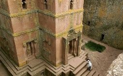 Die Bienenflüsterer