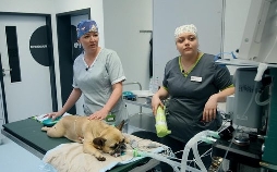 Tierretter unterwegs in Mitteldeutschland