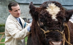 Der Doktor und das liebe Vieh