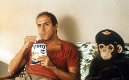 Gib dem Affen Zucker