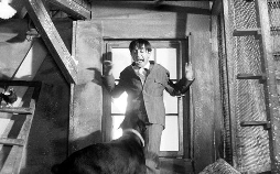 Edgar Wallace: Das indische Tuch