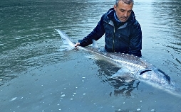 Die letzten Giganten: Riesenfische