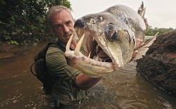 Die letzten Giganten: Riesenfische