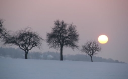 Rauhnachtgeschichten - Bräuche, Mythen und Legenden