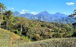 Honduras: Von Regenwald und Strand