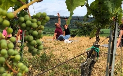 Tobis Städtetrip - XXL