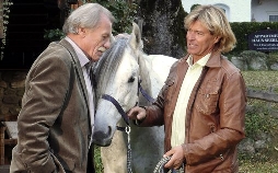 Heimkehr mit Hindernissen