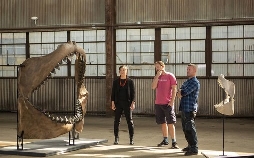 Weißer Hai vs. Megalodon