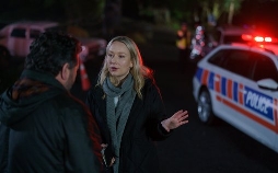 Brokenwood - Mord in Neuseeland