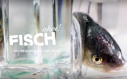 Fisch ahoi! Das Meer braucht eine Pause