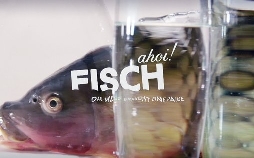 Fisch ahoi! Das Meer braucht eine Pause