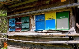 360° - Die GEO-Reportage